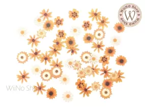 Yellow Daisy Flower Nail Art Sequin Decoration (F06)